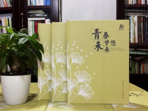 大彎中學(xué)2017屆畢業(yè)紀(jì)念冊(cè)定制-畢業(yè)照片書(shū)