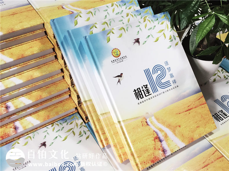 嘉祥中學(xué)2017屆-畢業(yè)紀(jì)念冊設(shè)計-班級同學(xué)錄制作