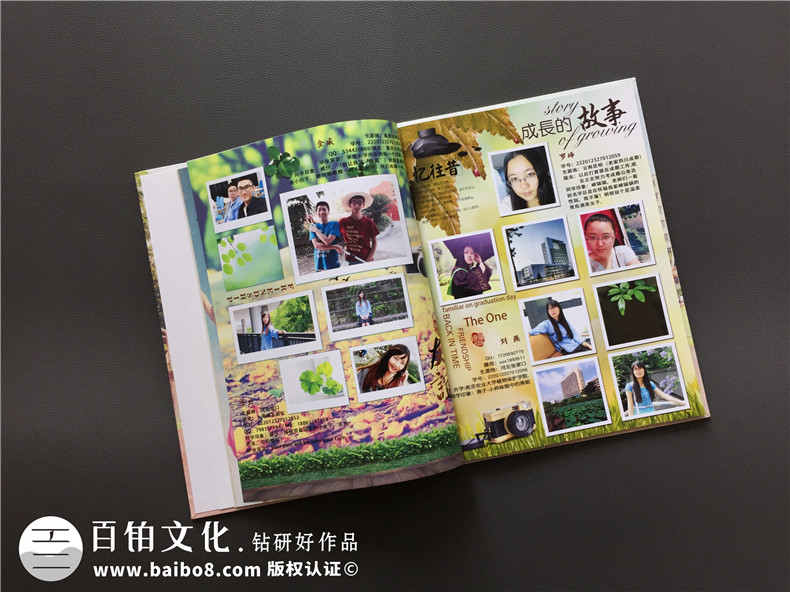 大學(xué)畢業(yè)校園紀(jì)念冊-記錄大學(xué)四年成長的同學(xué)錄相冊設(shè)計-留念影集