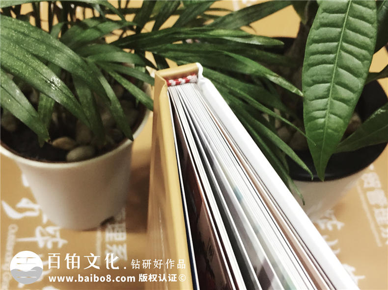 優(yōu)秀畢業(yè)生紀(jì)念冊(cè)-畢業(yè)典禮頒發(fā)給學(xué)生的留念冊(cè)