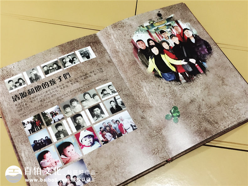 陳氏個性圖文家譜-個性創(chuàng)意族譜設計制作