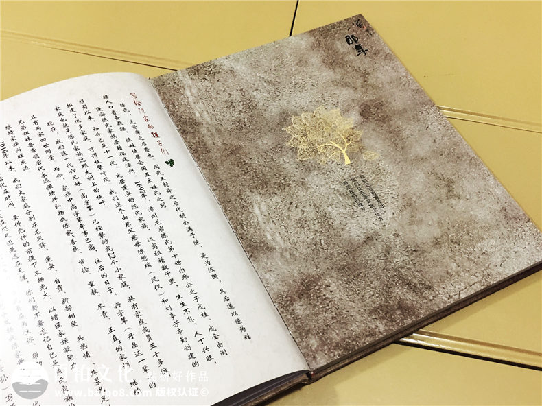 陳氏個性圖文家譜-個性創(chuàng)意族譜設計制作