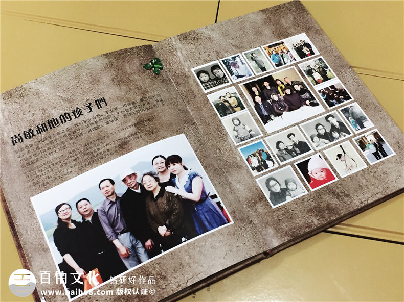 陳氏個性圖文家譜-個性創(chuàng)意族譜設計制作
