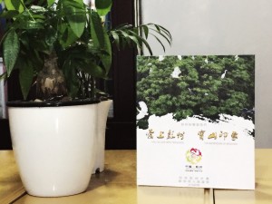 彭州寶山-城市形象宣傳片光盤包裝盒設(shè)計制作