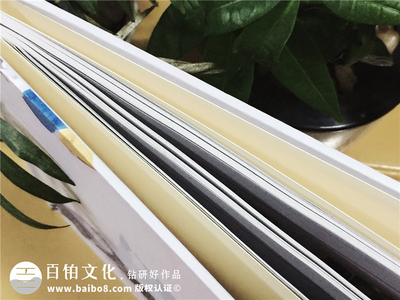 追尋父輩紅色軍旅紀念冊設(shè)計-部隊老兵紀念冊