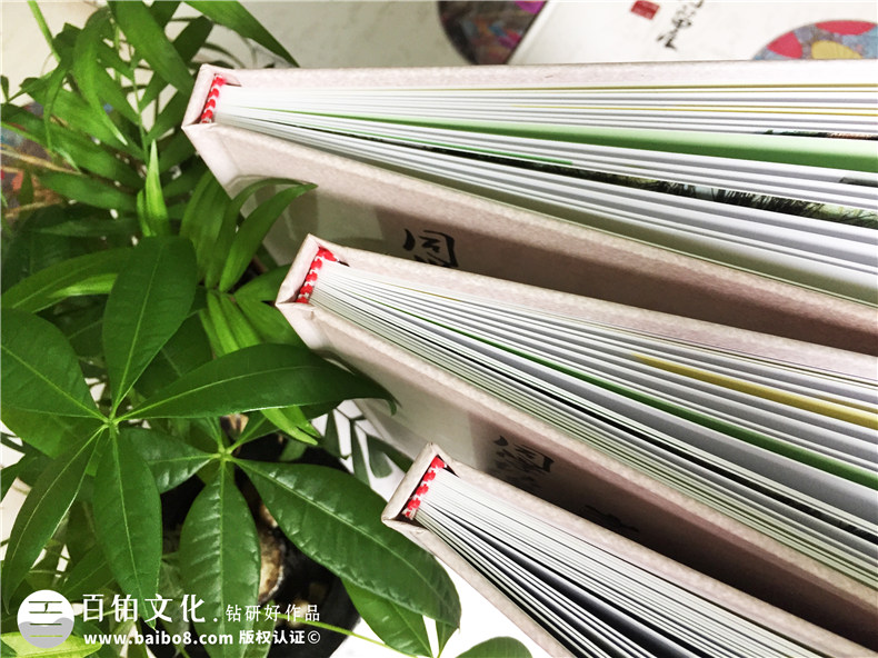 重慶石油校-22周年同學(xué)聚會(huì)紀(jì)念冊-同學(xué)會(huì)相冊