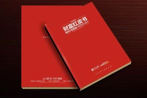 真正高端的房地產(chǎn)企業(yè)宣傳畫冊(cè)設(shè)計(jì) 擺脫創(chuàng)意文案 廣告照樣牛逼！
