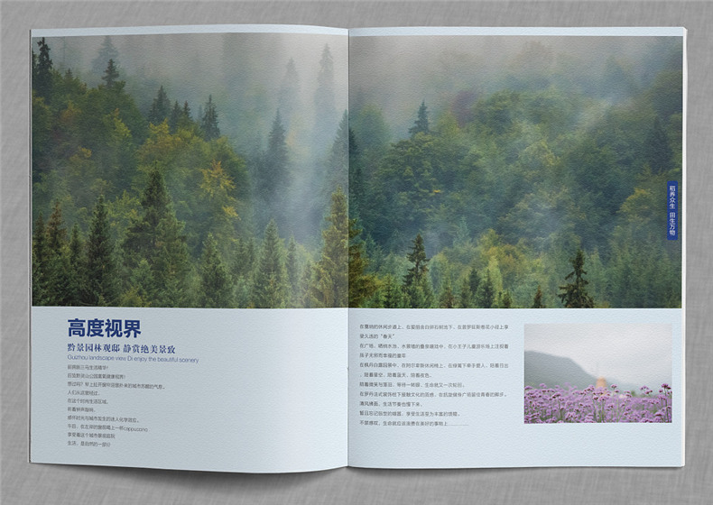 「案例」打造優(yōu)秀的商業(yè)地產配套宣傳畫冊設計 得做好這幾個方面!