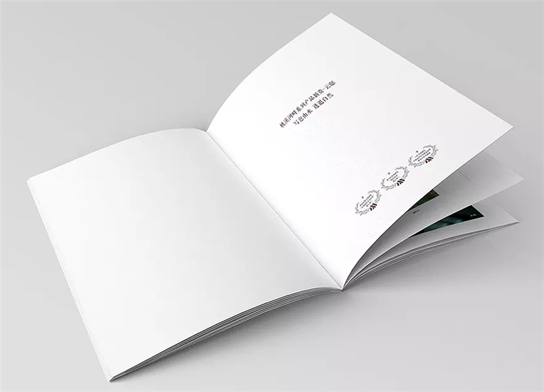 設(shè)計(jì)地產(chǎn)樓書(shū)一般多少錢(qián)1p-樓書(shū)設(shè)計(jì)價(jià)格是多少-地產(chǎn)畫(huà)冊(cè)收費(fèi)標(biāo)準(zhǔn)