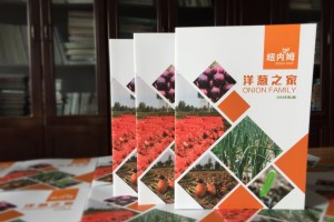 【500強企業(yè)】怎樣設(shè)計公司內(nèi)部期刊雜志,期刊欄目內(nèi)容怎么規(guī)劃
