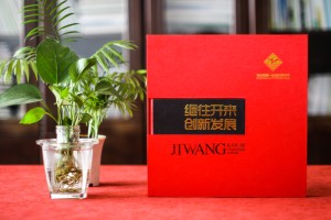 學校成立三十年慶典留念相冊-30周年校慶紀念冊設計