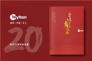 化工企業(yè)20周年紀念冊設(shè)計-公司整合發(fā)展大事記畫冊