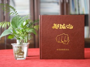 向新冠病毒抗疫英雄致敬紀(jì)念相冊制作-疫情結(jié)束工作總結(jié)照片影集