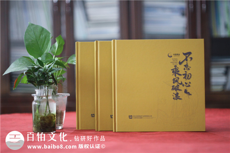 集團(tuán)成立周年宣傳冊-公司創(chuàng)建10周年活動制作相冊影集
