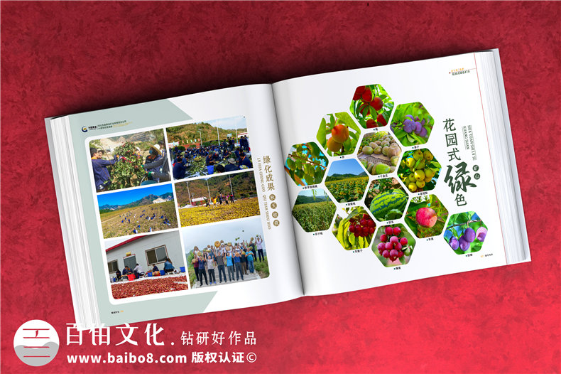 集團(tuán)成立周年宣傳冊-公司創(chuàng)建10周年活動制作相冊影集