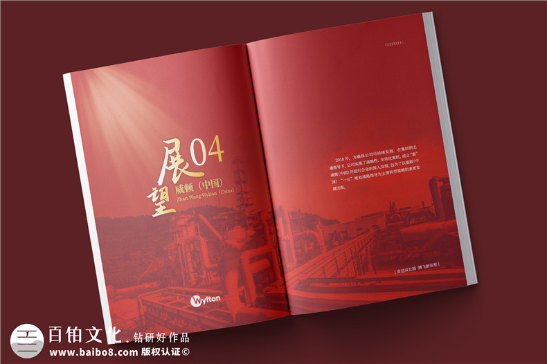 化工企業(yè)20周年紀(jì)念冊設(shè)計(jì)-公司整合發(fā)展大事記畫冊