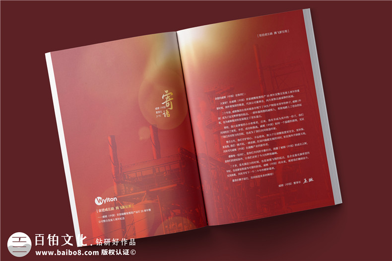 化工企業(yè)20周年紀(jì)念冊設(shè)計(jì)-公司整合發(fā)展大事記畫冊