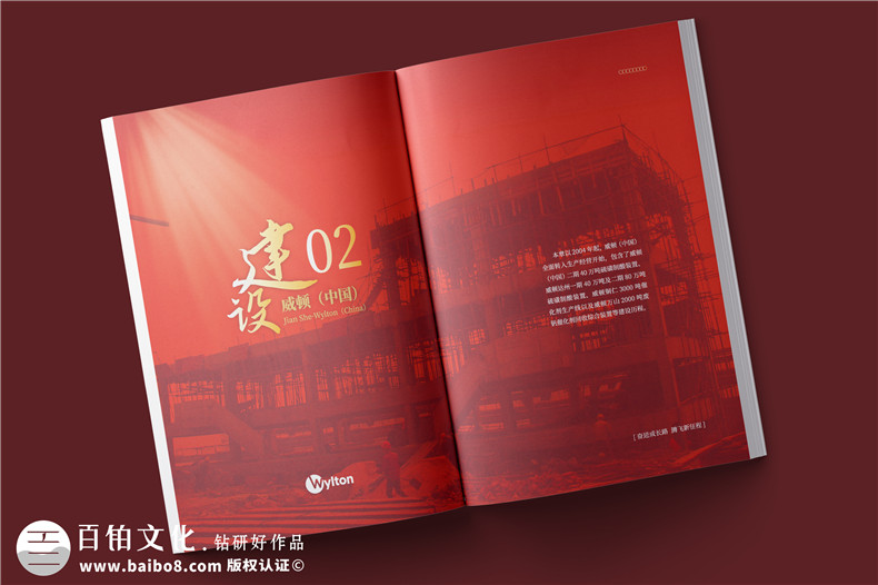化工企業(yè)20周年紀(jì)念冊設(shè)計(jì)-公司整合發(fā)展大事記畫冊