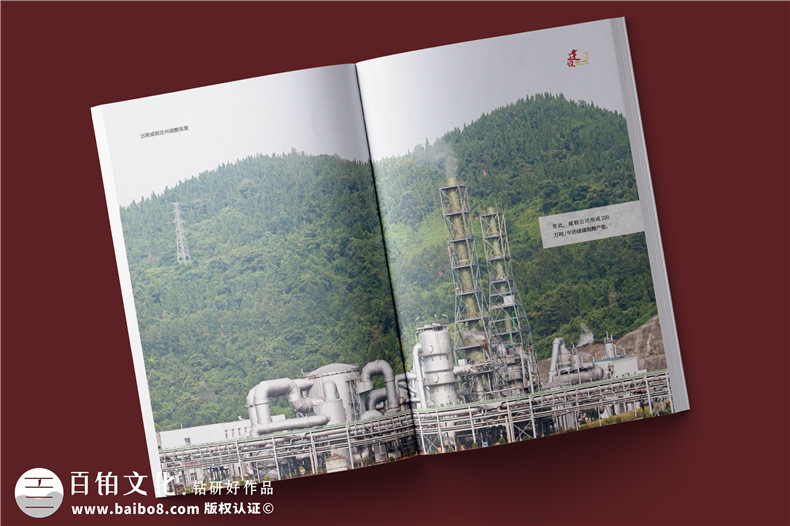 化工企業(yè)20周年紀(jì)念冊設(shè)計(jì)-公司整合發(fā)展大事記畫冊