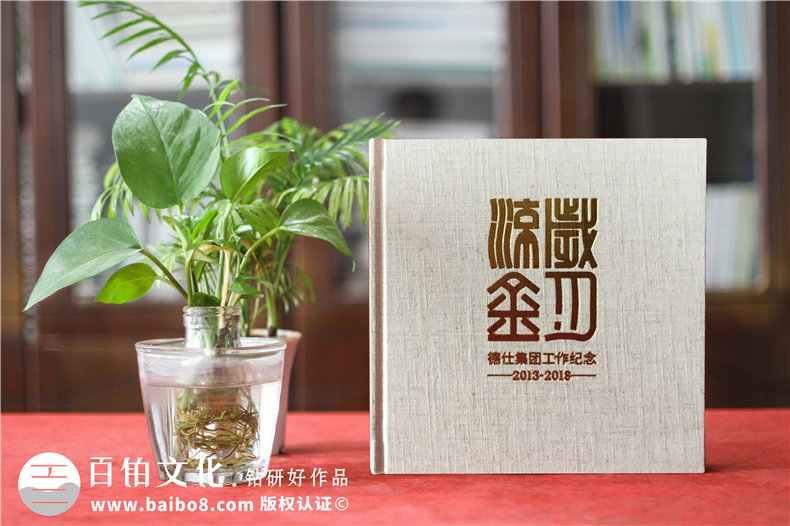 工作紀(jì)實(shí)畫冊-機(jī)關(guān)單位工作掠影相冊制作-工作足跡成長回憶影集冊