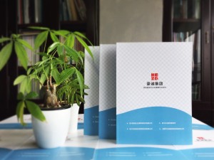 律師事務(wù)所宣傳畫冊設(shè)計-律師團隊企業(yè)簡介圖冊案例的內(nèi)容設(shè)計思路