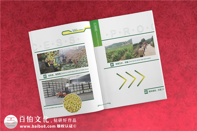 【水果宣傳冊設(shè)計】 農(nóng)業(yè)公司農(nóng)產(chǎn)品畫冊制作 樣本冊印刷