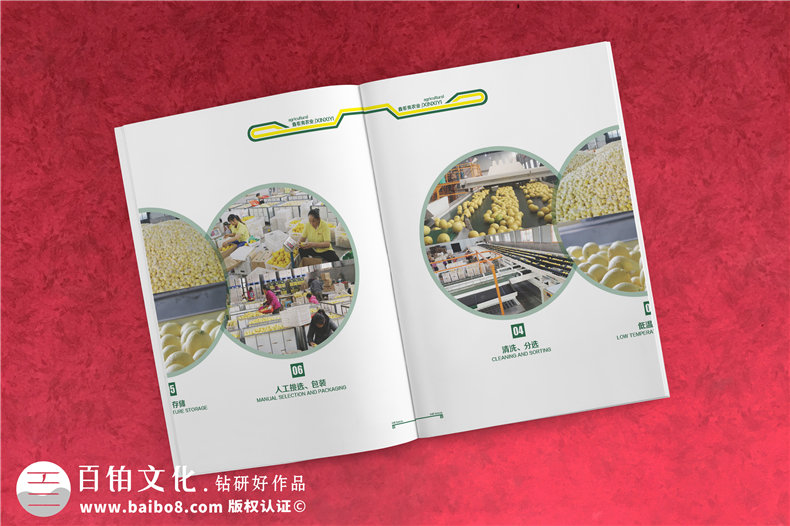 【水果宣傳冊設(shè)計】 農(nóng)業(yè)公司農(nóng)產(chǎn)品畫冊制作 樣本冊印刷