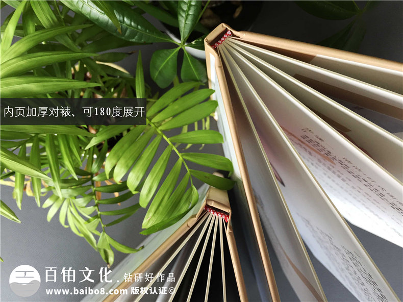 【整形美容醫(yī)院業(yè)務(wù)介紹手冊設(shè)計(jì)】美妝店項(xiàng)目（價格表）手冊制作