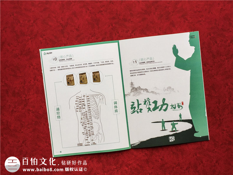 中醫(yī)藥產(chǎn)品宣傳冊(cè)設(shè)計(jì)-高端醫(yī)療科技公司畫冊(cè)-健康管理企業(yè)樣本冊(cè)