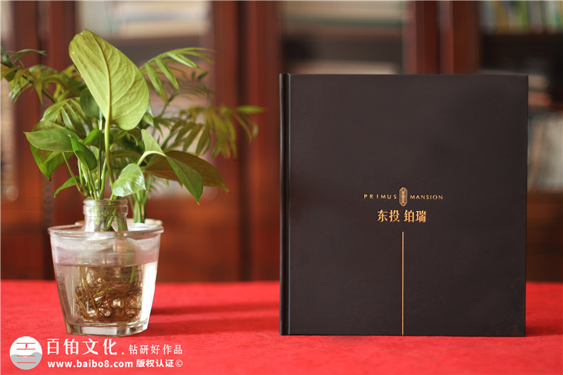 專業(yè)樓書制作公司為售樓部排版的樓書怎么做-房地產(chǎn)商用宣傳冊設(shè)計(jì)
