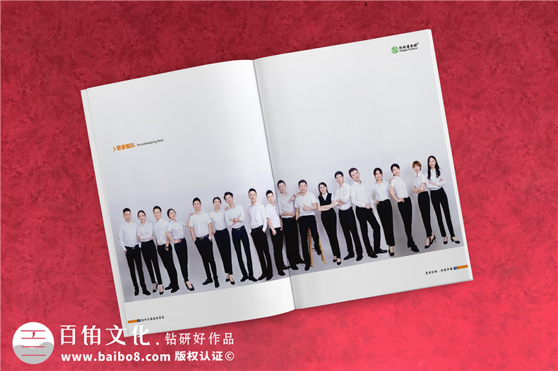 金融公司宣傳畫冊(cè)設(shè)計(jì)-貸款融資機(jī)構(gòu)宣傳冊(cè)制作