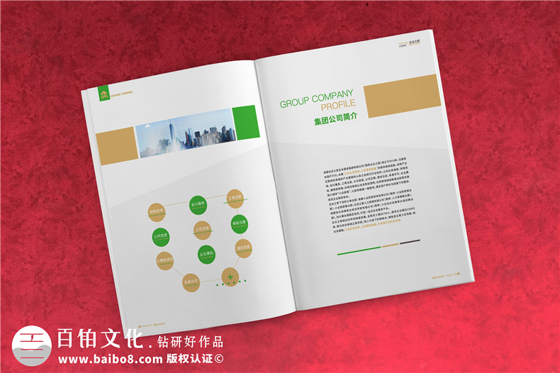 企業(yè)服務(wù)公司宣傳冊制作-財(cái)稅咨詢會(huì)計(jì)服務(wù)公司畫冊設(shè)計(jì)