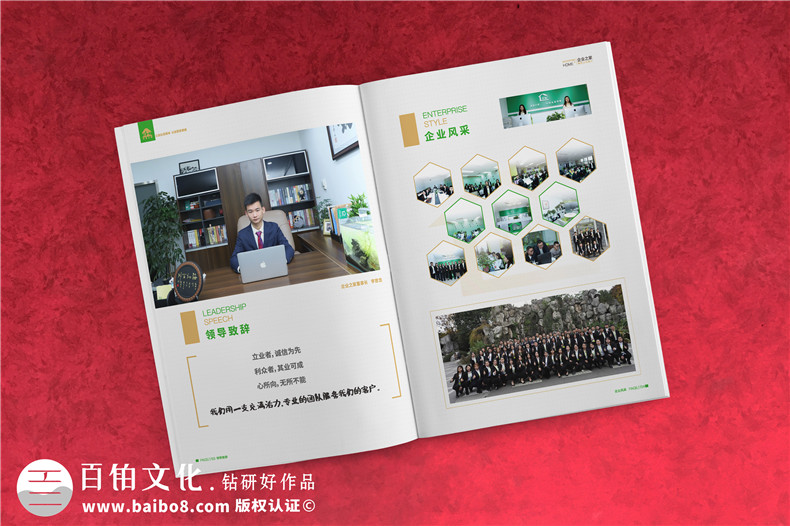 企業(yè)服務(wù)公司宣傳冊制作-財(cái)稅咨詢會(huì)計(jì)服務(wù)公司畫冊設(shè)計(jì)