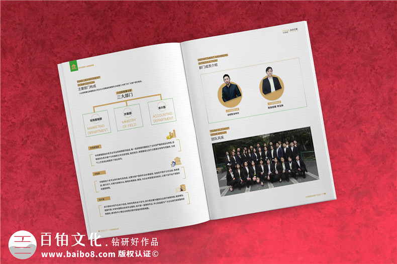 企業(yè)服務(wù)公司宣傳冊制作-財(cái)稅咨詢會(huì)計(jì)服務(wù)公司畫冊設(shè)計(jì)