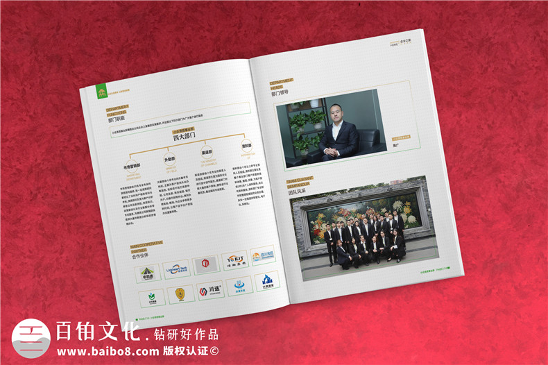 企業(yè)服務(wù)公司宣傳冊制作-財(cái)稅咨詢會(huì)計(jì)服務(wù)公司畫冊設(shè)計(jì)