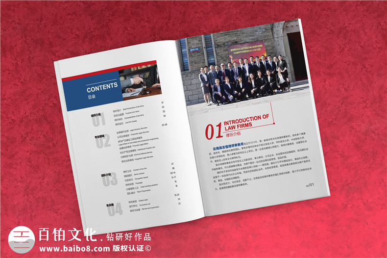 律師團(tuán)隊(duì)介紹宣傳冊(cè)設(shè)計(jì)-企業(yè)法律顧問(wèn)宣傳彩頁(yè)