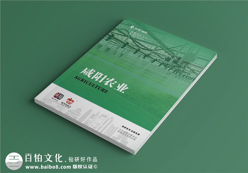 畫冊封面設(shè)計(jì)-參考封面設(shè)計(jì)模板素材