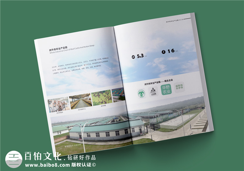 農(nóng)業(yè)畫(huà)冊(cè)設(shè)計(jì)-農(nóng)業(yè)公司農(nóng)產(chǎn)品宣傳冊(cè)怎么做