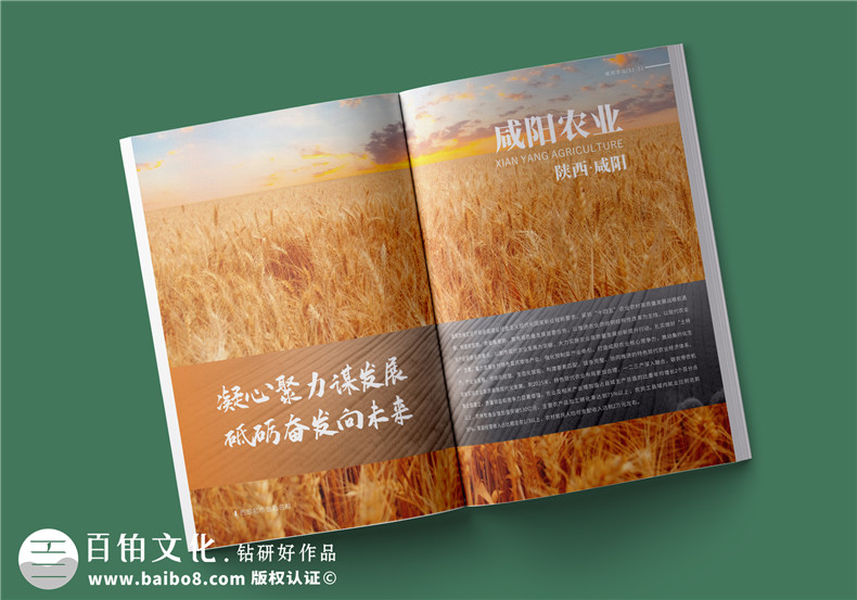 農(nóng)業(yè)畫(huà)冊(cè)設(shè)計(jì)-農(nóng)業(yè)公司農(nóng)產(chǎn)品宣傳冊(cè)怎么做