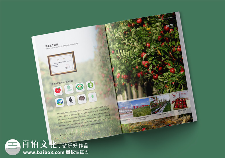 農(nóng)業(yè)畫(huà)冊(cè)設(shè)計(jì)-農(nóng)業(yè)公司農(nóng)產(chǎn)品宣傳冊(cè)怎么做