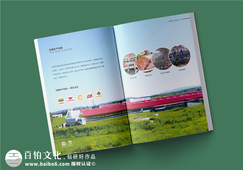農(nóng)業(yè)畫(huà)冊(cè)設(shè)計(jì)-農(nóng)業(yè)公司農(nóng)產(chǎn)品宣傳冊(cè)怎么做