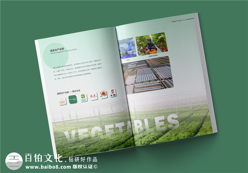 農(nóng)業(yè)畫(huà)冊(cè)設(shè)計(jì)-農(nóng)業(yè)公司農(nóng)產(chǎn)品宣傳冊(cè)怎么做