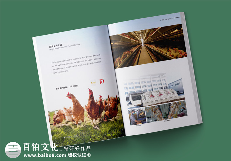 農(nóng)業(yè)畫(huà)冊(cè)設(shè)計(jì)-農(nóng)業(yè)公司農(nóng)產(chǎn)品宣傳冊(cè)怎么做