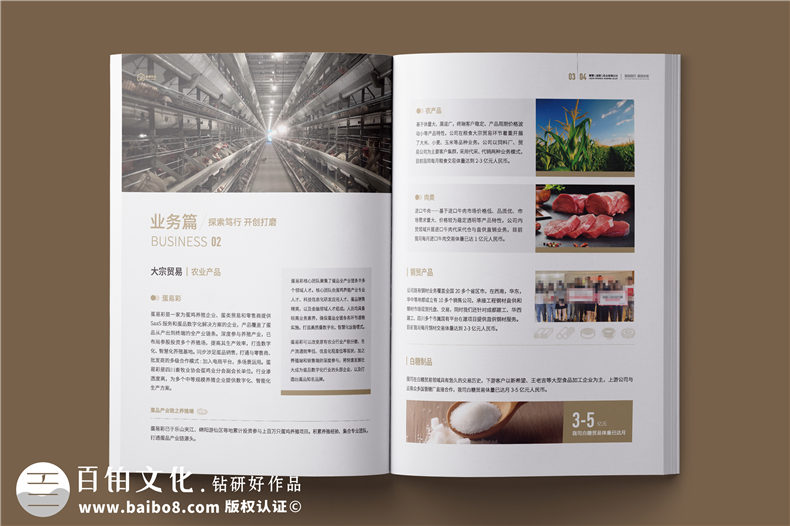 外貿(mào)企業(yè)宣傳冊(cè)-供應(yīng)鏈服務(wù)實(shí)業(yè)公司畫冊(cè)設(shè)計(jì)