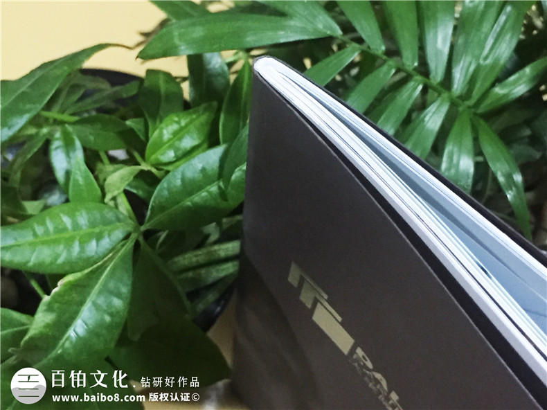 大來隔斷產(chǎn)品宣傳畫冊(cè)制作-公司畫冊(cè)制作