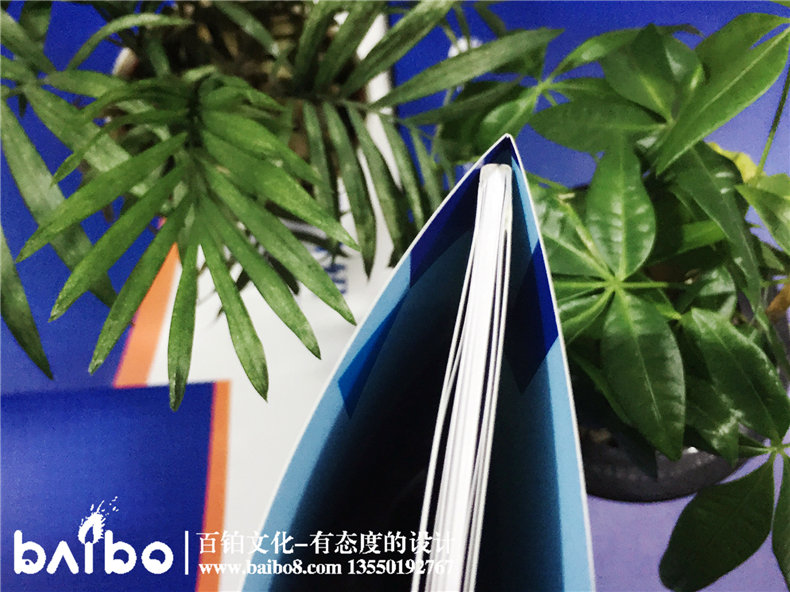 公司宣傳畫冊設(shè)計(jì)制作-產(chǎn)品介紹手冊