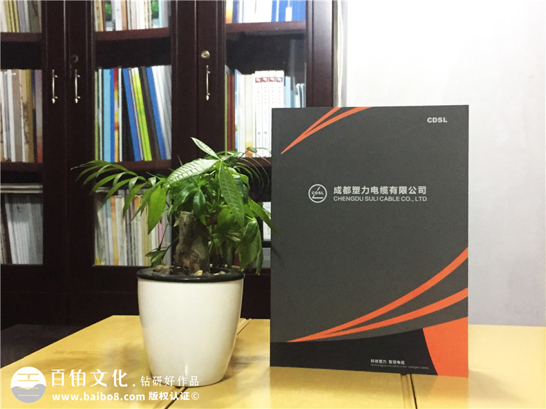 企業(yè)宣傳畫(huà)冊(cè)制作-公司業(yè)務(wù)手冊(cè)