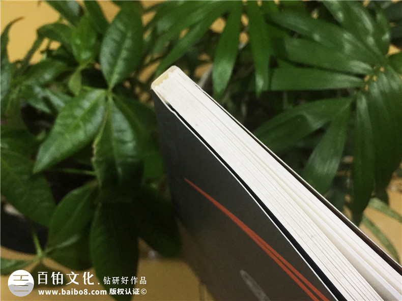 企業(yè)宣傳畫(huà)冊(cè)制作-公司業(yè)務(wù)手冊(cè)