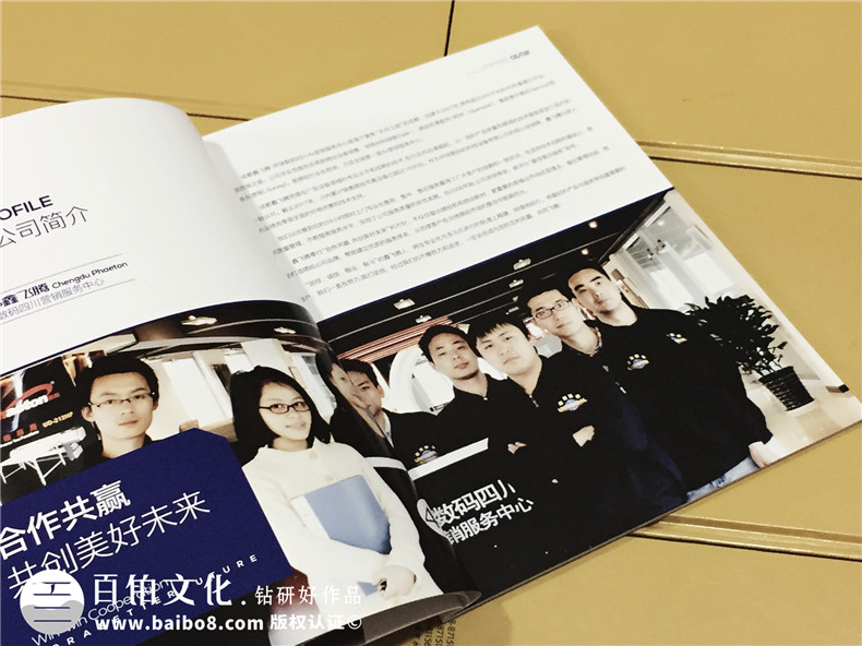 企業(yè)形象畫(huà)冊(cè)設(shè)計(jì)-噴繪機(jī)產(chǎn)品宣傳畫(huà)冊(cè)制作