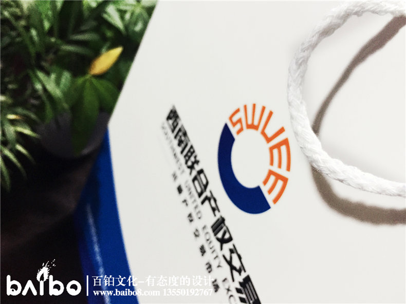 成都公司宣傳畫(huà)冊(cè)設(shè)計(jì)-企業(yè)手提袋定制